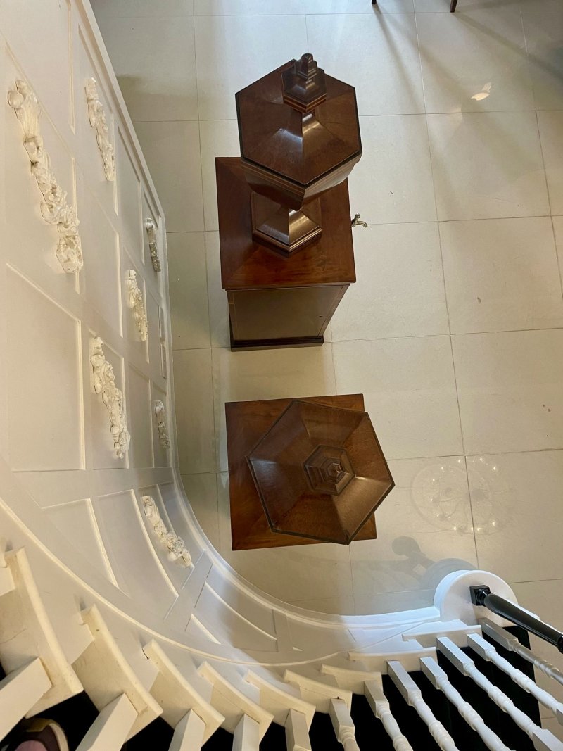 Rare Pair of Antique George III Outstanding Quality Mahogany Inlaid Wine Urns on Original Pedestal Cupboards - Image 13